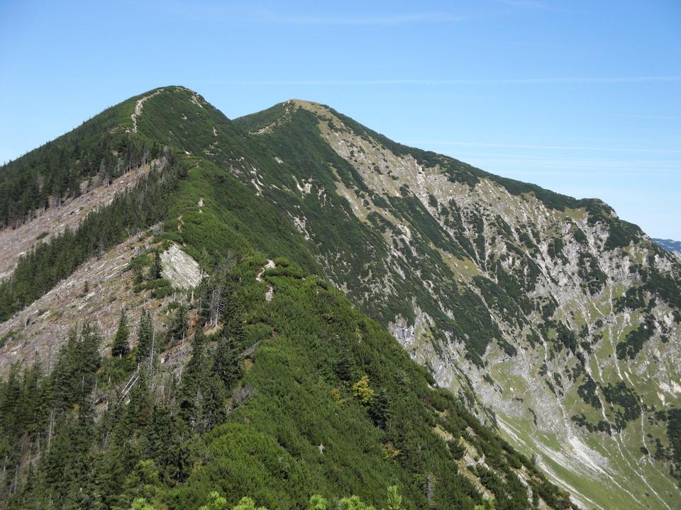 02ad702a-e722-417a-844f-747494225fb9.jpg