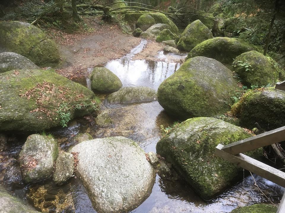 2c6e0d3d-8494-45d7-9edf-d96d32faa92c.jpg