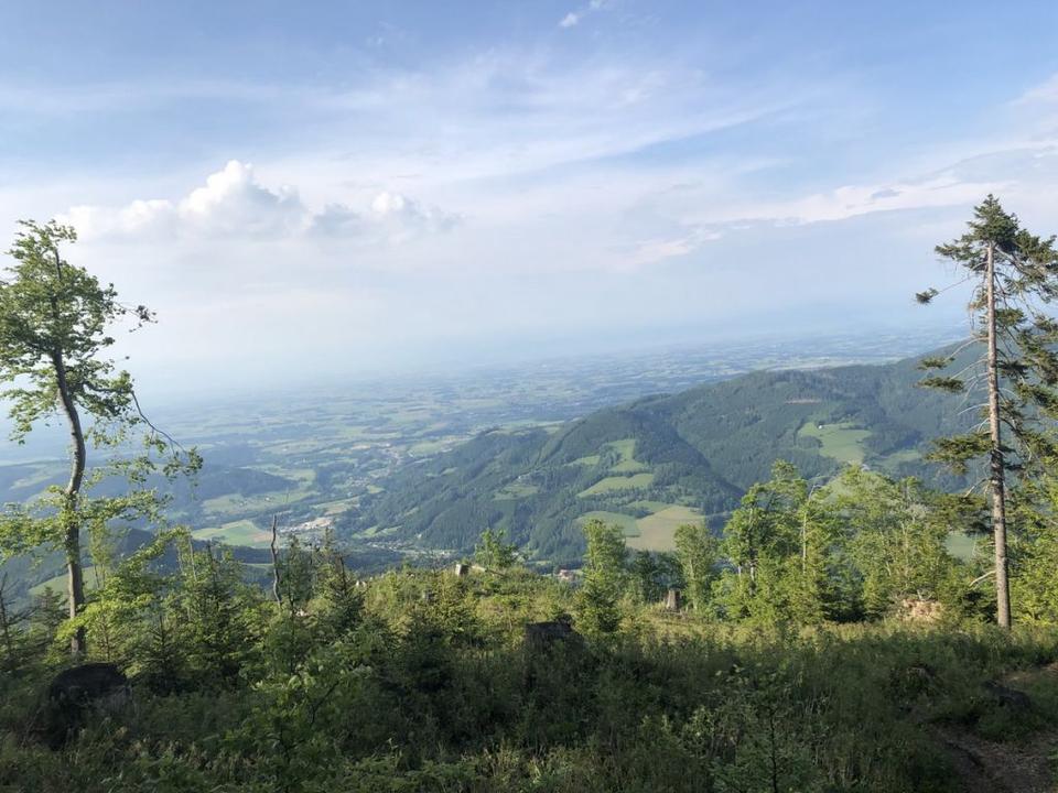 e9249a4d-853c-4484-9b0c-6fe6f0c2ff8e.jpg