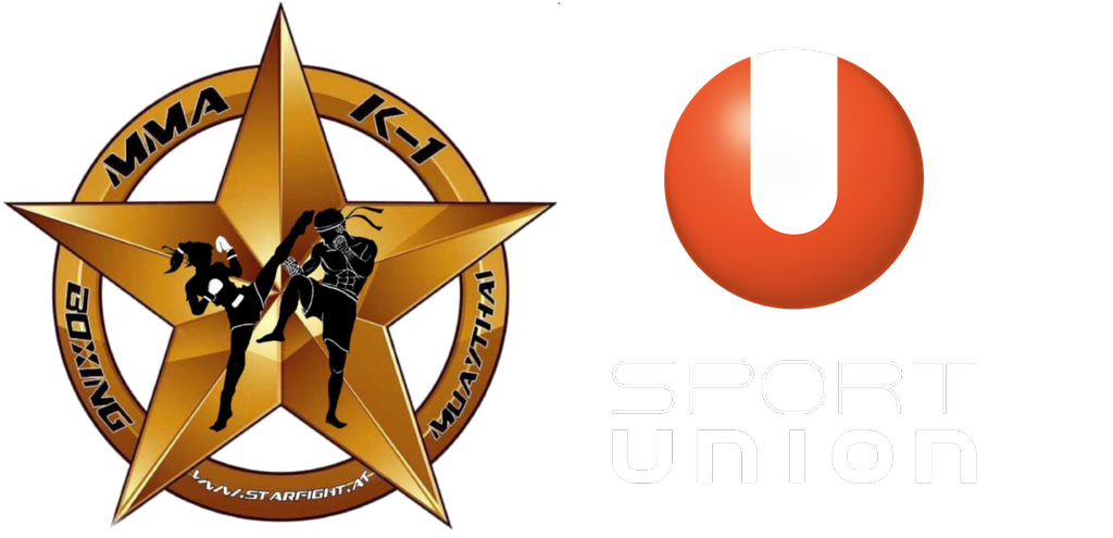 Star Fight Logo