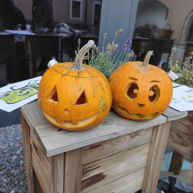 image_0