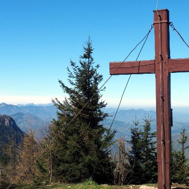 image_0