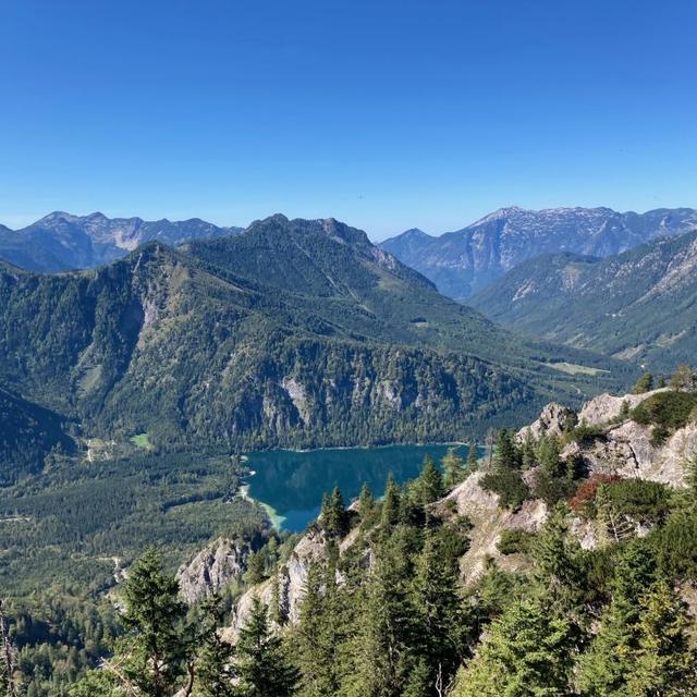 image_0