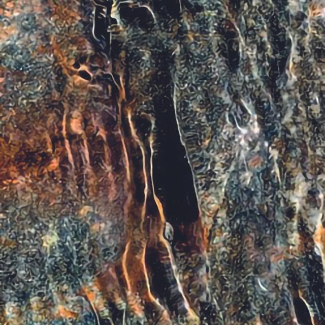 image_0